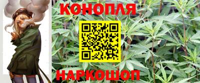 мет Новозыбков