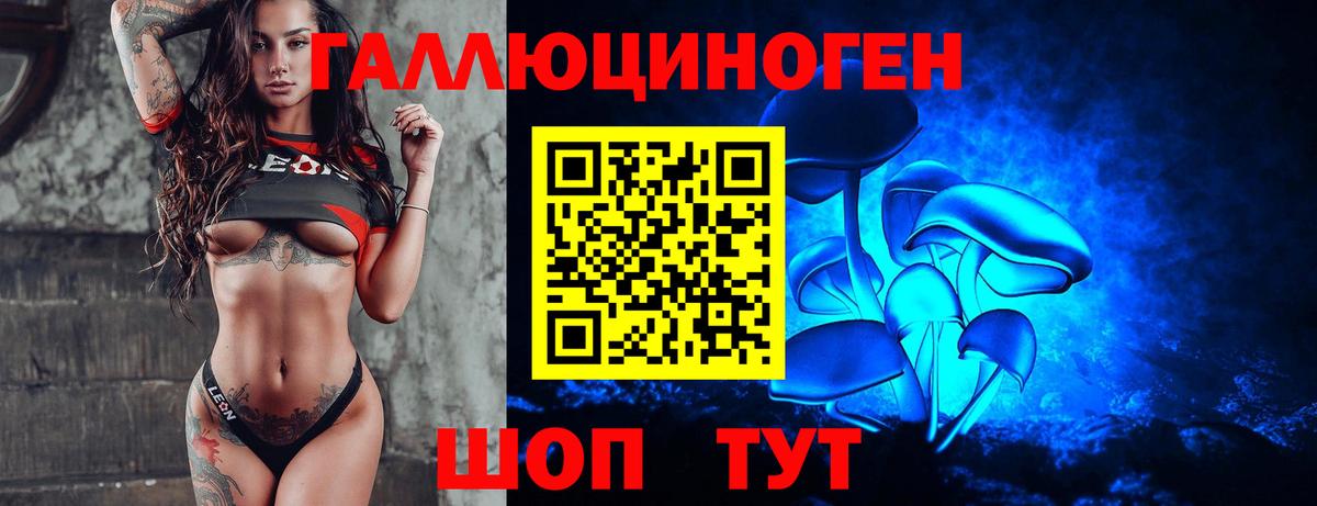 где купить   Псилоцибиновые грибы мухоморы  Вход с VPN  Галлюциногенные грибы Psilocybine cubensis  Великий Устюг 