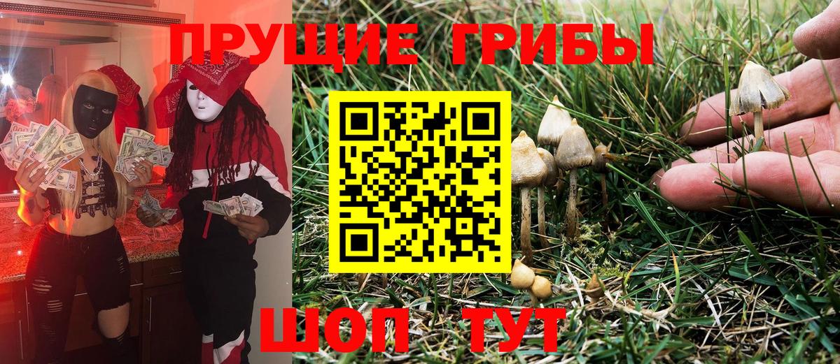 Галлюциногенные грибы ЛСД Великий Устюг